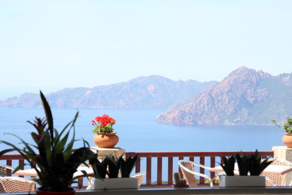 Hotel Les Roches Rouges Piana  Værelse billede